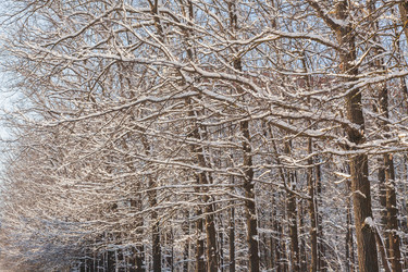 Similar image 22360359