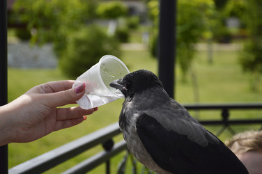 Similar image 22348684