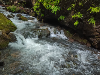 Similar image 22349818