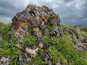 Similar image 22349857