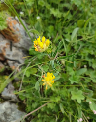 Similar image 22349859