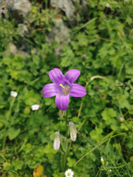 Similar image 22349863