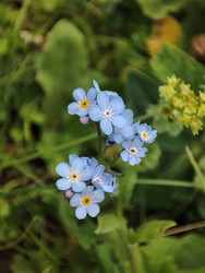 Similar image 22349866