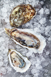 Similar image 22352684