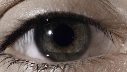 Similar image 22368646