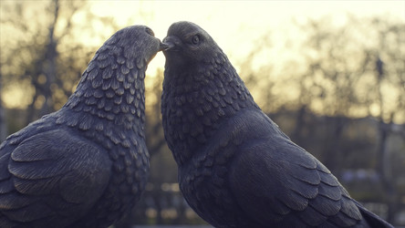 Similar image 22368812