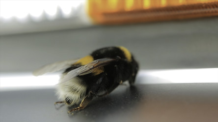 Similar image 22368957