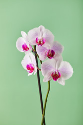 Similar image 22352686