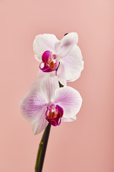 Similar image 22352691