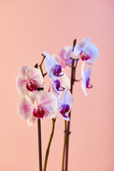 Similar image 22352697