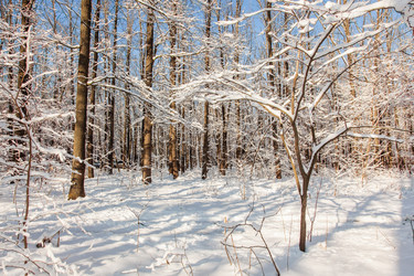 Similar image 22348537