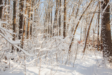 Similar image 22348539