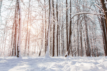 Similar image 22348542