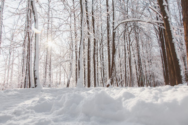 Similar image 22348544