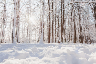 Similar image 22348547