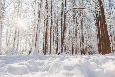 Similar image 22348550