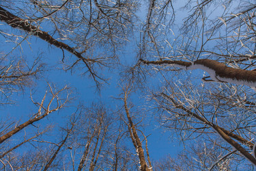 Similar image 22348574