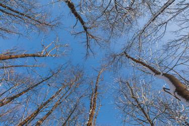 Similar image 22348578