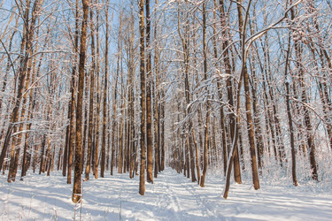 Similar image 22349930