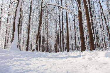 Similar image 22350453