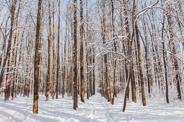 Similar image 22350456