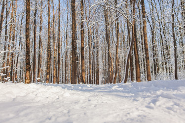 Similar image 22350804