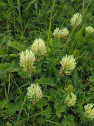 Similar image 22349735