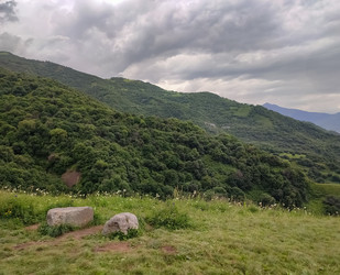 Similar image 22349753