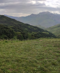 Similar image 22349806