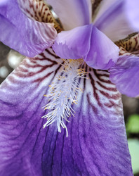 Similar image 22349808