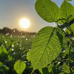 Similar image 22390824