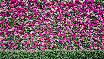 Similar image 22390852