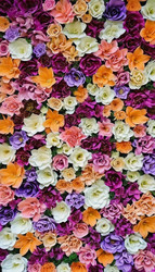 Similar image 22390898