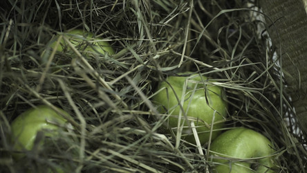 Similar image 22369485