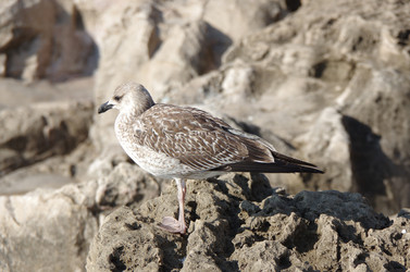 Similar image 22372542