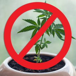 Similar image 22364287