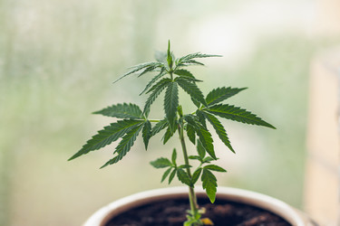 Similar image 22364289