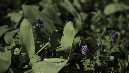 Similar image 22371022