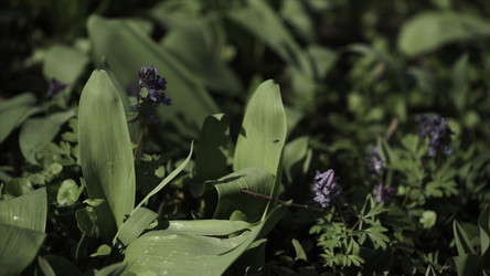 Similar image 22371247