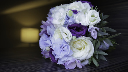 Similar image 22371383