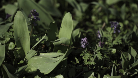 Similar image 22350900