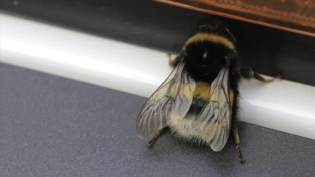 Similar image 22351532