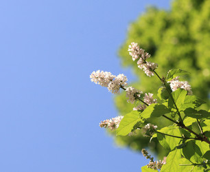 Similar image 22379793