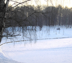 Similar image 22379959