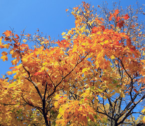 Similar image 22379988