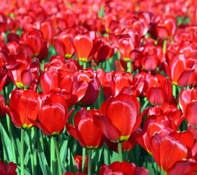 Similar image 22380110