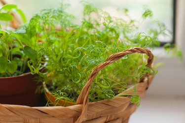 Similar image 22364141