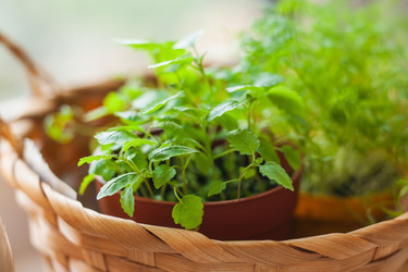 Similar image 22364154