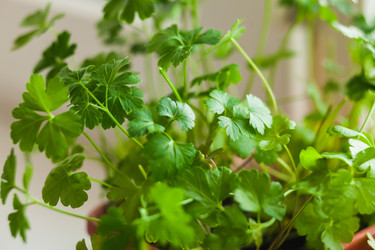 Similar image 22364156