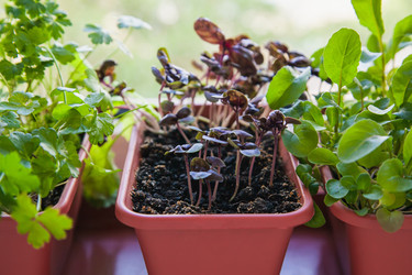 Similar image 22364183